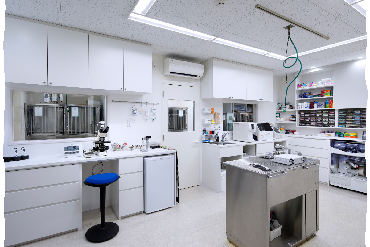 大通動物病院_イメージ