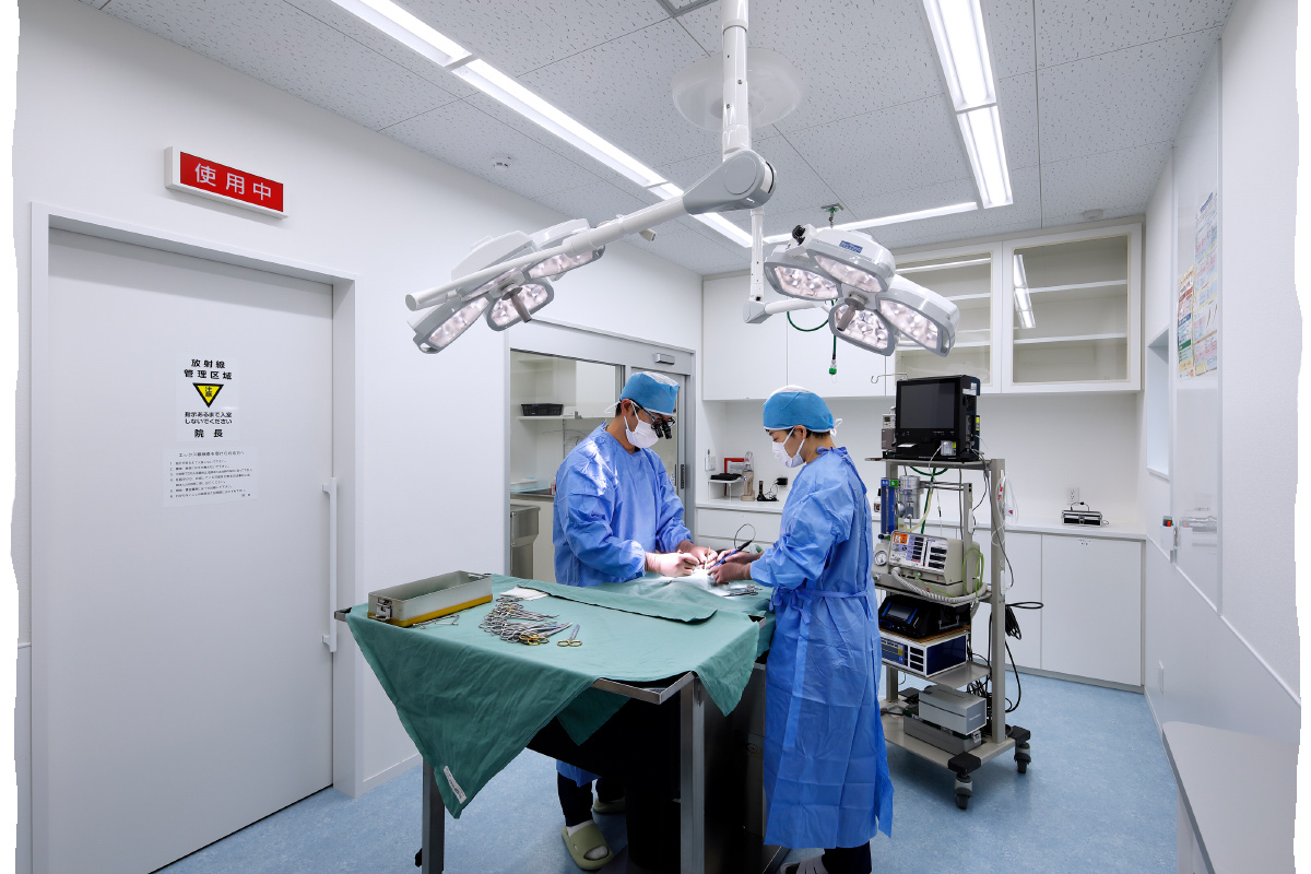 大通動物病院_イメージ